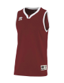 fm490s03100_1.png