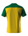 BRANDON YELLOW GREEN TYŁ.png