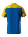 BRANDON BLUE YELLOW TYŁ.png
