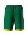 BARNEY GREEN YELLOW TYŁ.png