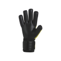 fa2i1z00810_2.png