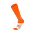 a410000013_1.png