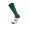 a410000016_1.png