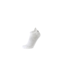a426000028_1.png